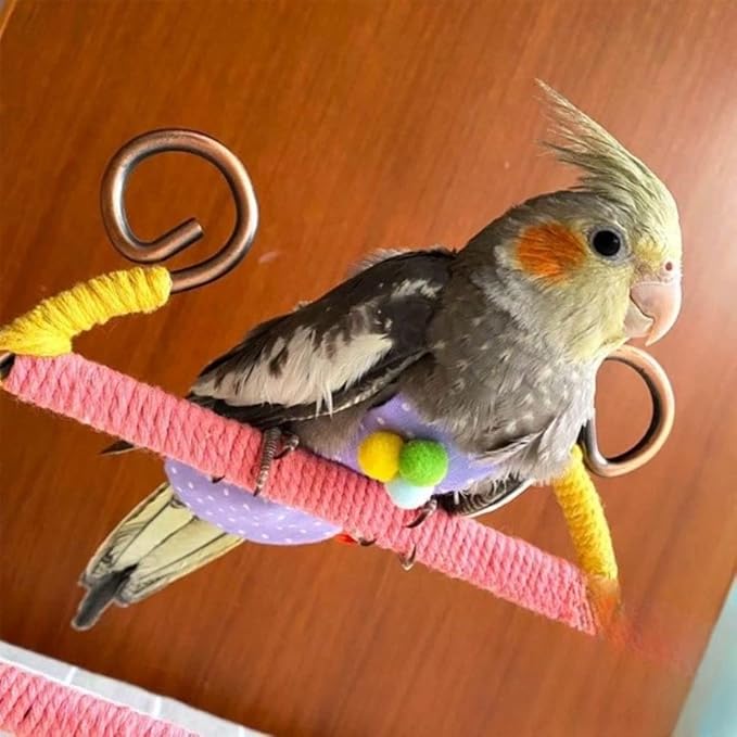 Bird Flight Suits Diapers, Parrot Flight Suits Diapers for Monk Parakeets, Cockatiels Flight Suits, Parrot Clothes, Bird Training Nappy Suit Liners Clothes (Purple-B,Cockatiel)