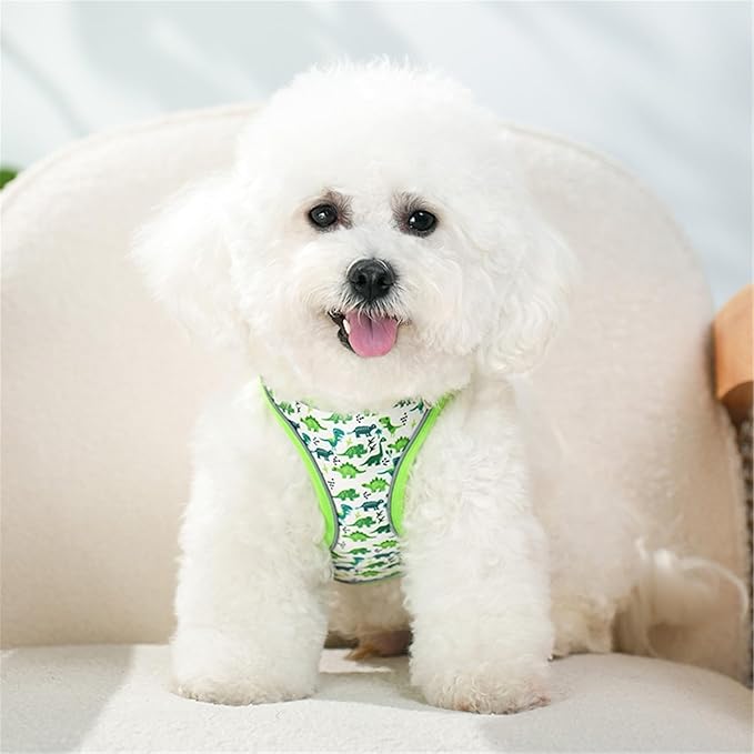 Step in Dog Harness No Pull Dinosaur Adjustable Soft Mesh Padded Reflective Pet Vest Harness and Leash Set for Small Medium Dogs