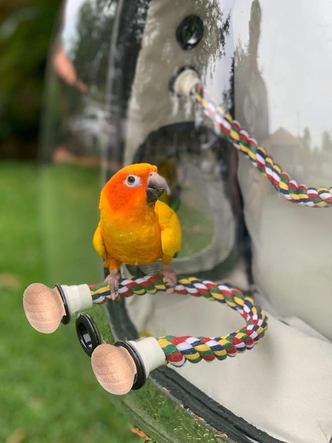 Bird Traval Carrier Cage, Clear Space Capsule Astronaut Backpack to Carry Parakeet Cockatiel Parrot with Metal Tray Wood Perch Bird Feeder, Vet Transport School Bag