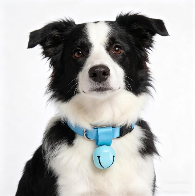 EXPAWLORER Pet Bells for Dog Cat Collar Charm - 2 Pack Cat Collar Accessories Bells Loud, Pet Jingle Ornament Training Pendant Neck Decoration, Tracker for Saving Birds, Yellow & Blue