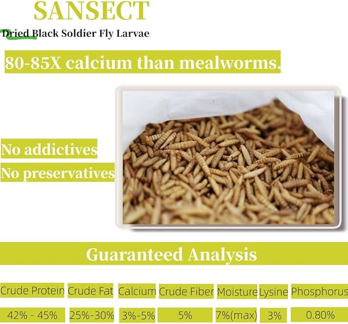 SANSECT 5LB Dried Black Soldier Fly Larvae, 100% Natural Non-GMO Chicken Feed, More Calcium Than Dried Mealworms, High Protein Chickens Treats for Laying Hen, Wild Birds, Ducks