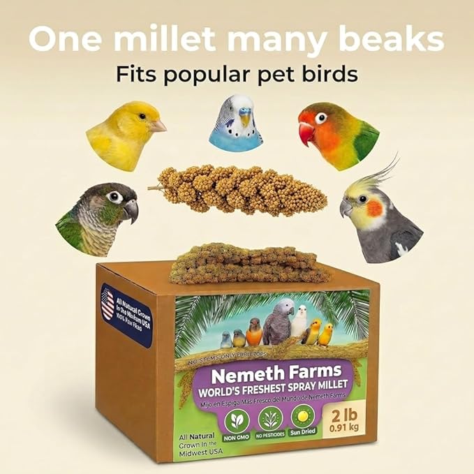 USA Grown Spray Millet for Birds – Midwest Harvest, 2 lbs Premium 100% Natural, Sun-Dried Non-GMO Whole Millet Sprays, Bird Treat for Parakeets, Budgies, Cockatiels, Conures, Lovebirds & Finches