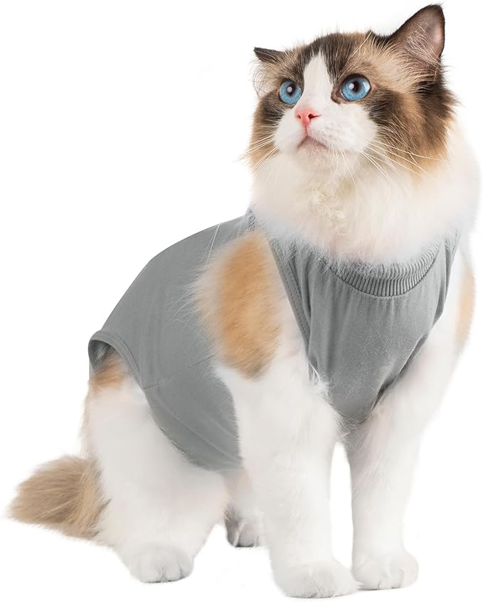Avont Cat Recovery Suit Female Kitten After Spay Surgery, Breathable Modal Cotton Cat Onesie for Wound & Skin Disease Care, Machine Washable -Grey(M)