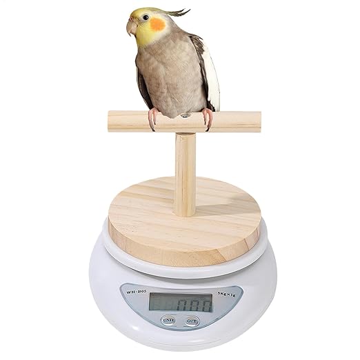 Parrot Scale - Small Pet Digital Scale | Bird Weight Balance Tool, Budgies Weighing Scale, Bird Weight Measuring Tool, Convenient Weight Changing Monitoring Tool for Medication Milk Powd