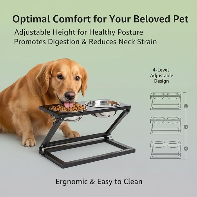 Elevated Dog Bowls, Adjustable Raised Dog Bowl Stand with 2 Stainless Steel Food Bowls 20°Tilted Water Bowls for Small Sized Dogs and Cats (Black, Small)