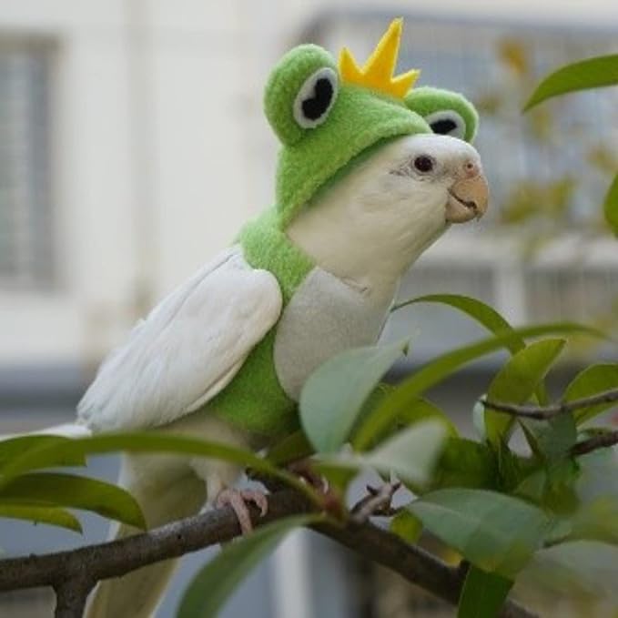 Bird Costume Diaper Flight Suit Frog Shape Hoodie Clothes Cosplay Photo Prop for Parrots Parakeet Cockatiel Sun Conure, Small Animals Apparel (Pink Without Diaper, Small), Green