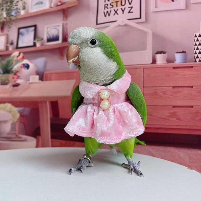 Bird Costume Bird Diaper Flight Suit Parrot Velvet Fleece Skirt Clothes Cosplay Photo Prop for Conure Lovebird Parakeet Cockatiel Macaw Small Animals Apparel (Pink,Small)