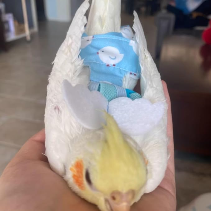 Adjustable Bird Diaper Harness Flight Suit Clothes with 80 Inch Flying Leash Rope for Parrots Conure Cockatiel (Blue,L)