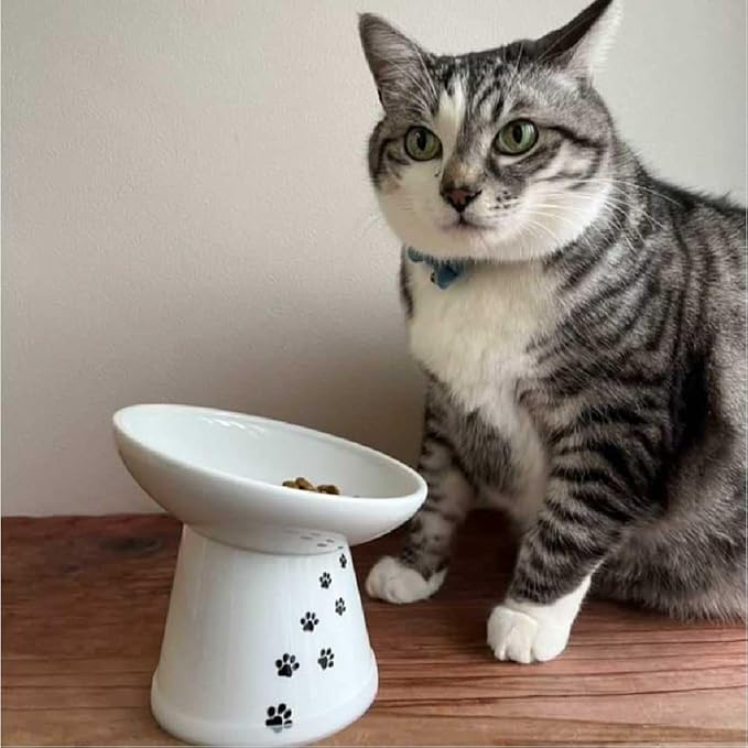 Necoichi Raised Cat Food Bowl – Ceramic Elevated 15° Tilted Cat Bowl for Whisker & Neck Fatigue, Dishwasher Microwave Safe Non-Slip Anti Vomiting Ergonomic Design (Extra Wide Tilted, 1.5-Cup Capacity)