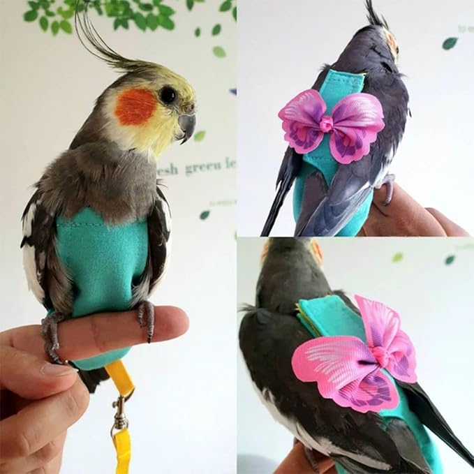 Bird Diaper Harness Flight Suit Clothes, Parrot Flight Suit with Leash for Parrot, Bird Flying Clothes for Outdoor Activities Training (with Leash,S)