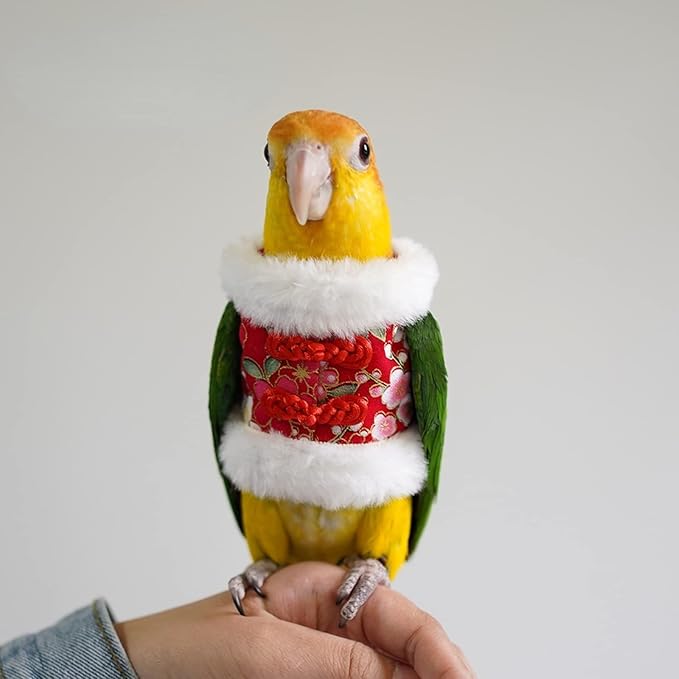 Bird Flight Suit & Clothes Cosplay Photo Prop for Parrots, Parakeet, Cockatiel & Sun Conure - Bird Hoodie for Small Animals (Red, X-Large)
