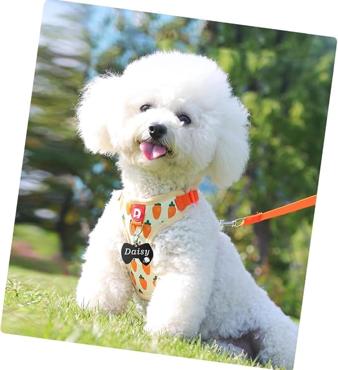 Stainless Steel Cat ID Tag Personalized Pet Tags with up to 4 Lines of Custom Text, Small Pet Mini Dog Cat Tag Lightweight, Engraved on Both Sides, Multiple Patterns Colors Size Options (Bowtie Icon)