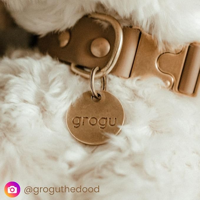 Solid Brass PET TAG - Modern, Minimal Pet IDs. Durable, Lifetime Tags with deep Cut Text. Includes Space for Two Phone Numbers. (Arch)