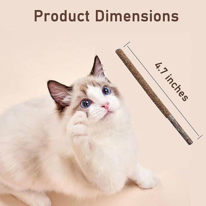Natural Silvervine Catnip Chew Sticks (12 PC) - Edible Dental Chews for Cats & Kittens, Teething Relief Teeth Cleaning Toys