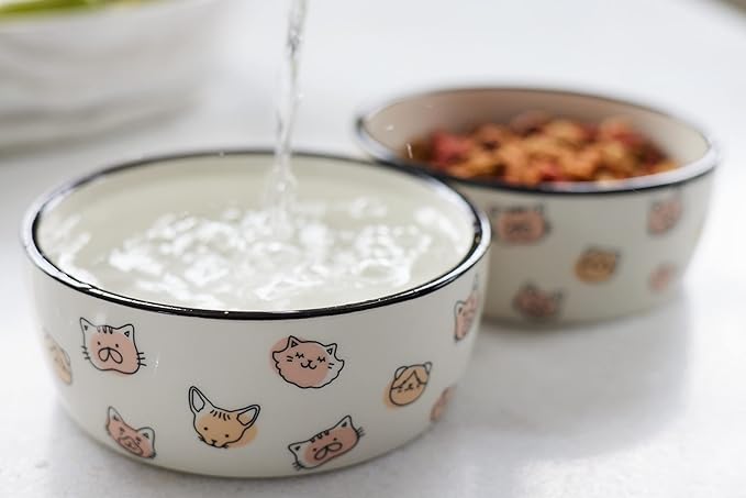 Pearhead Ceramic Cat Bowl – Cute Cat Face Water & Food Dish, Wide Shallow Whisker-Friendly Design for Kittens & Small/Medium Cats, Heavy Non-Slip Pet Feeding Bowl 2-Cup (Pack of 2)