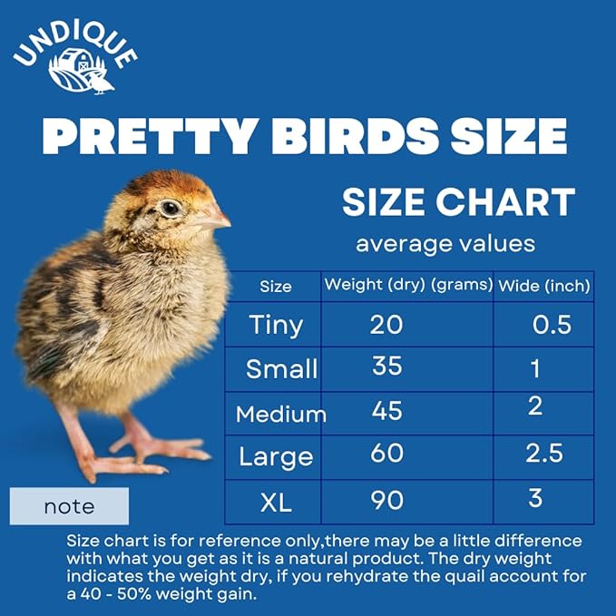 Undique Whole Quail for Carnivore Pets - Premium Quality Natural Pet Treats - Natural Prey Feeding - Freeze-Dried for Essential Nutrients and Enzymes - Quality Protein Source Tiny Size 10 Count