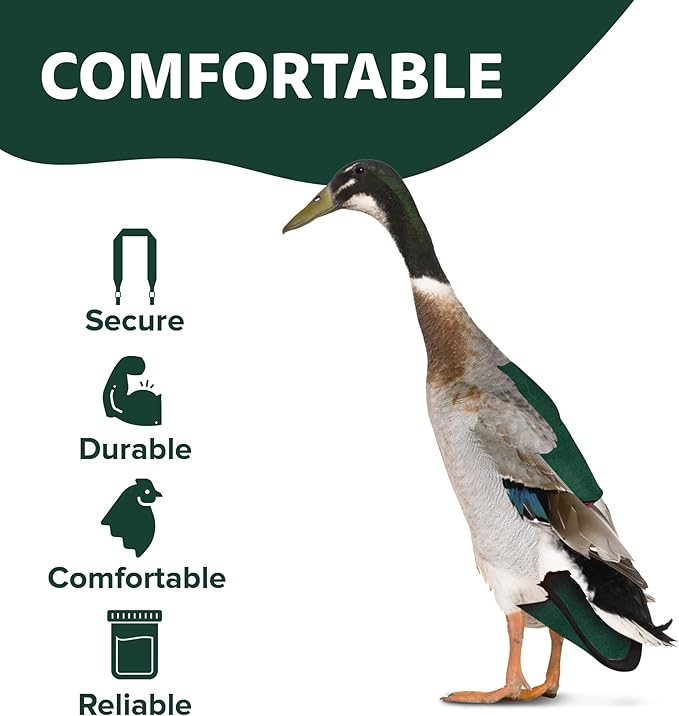 Hen Holster Starter Kit - Wrap-Around Runner Duck Diaper w/ Removable Liner & Fixed Tab - Durable, Secure Fit, Easy-to-Wear - Essential Duck Supplies for Real Ducks, Made in USA - Green