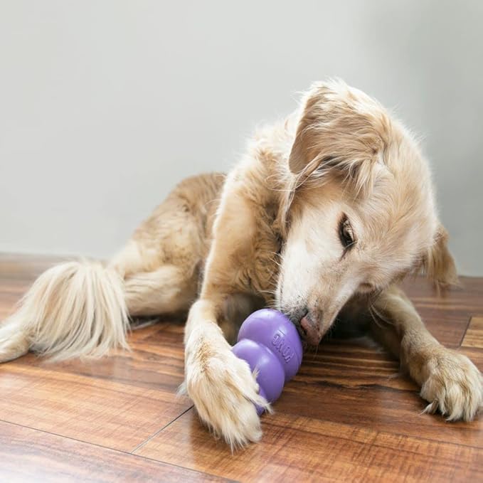 KONG Senior - Dog Toy with Gentle, Natural Rubber - Durable Dog Toy for Older Dogs - Use Treats with Stuffable Chew Toy - Treat Toy for Chewing & Fetching - for Medium Dogs
