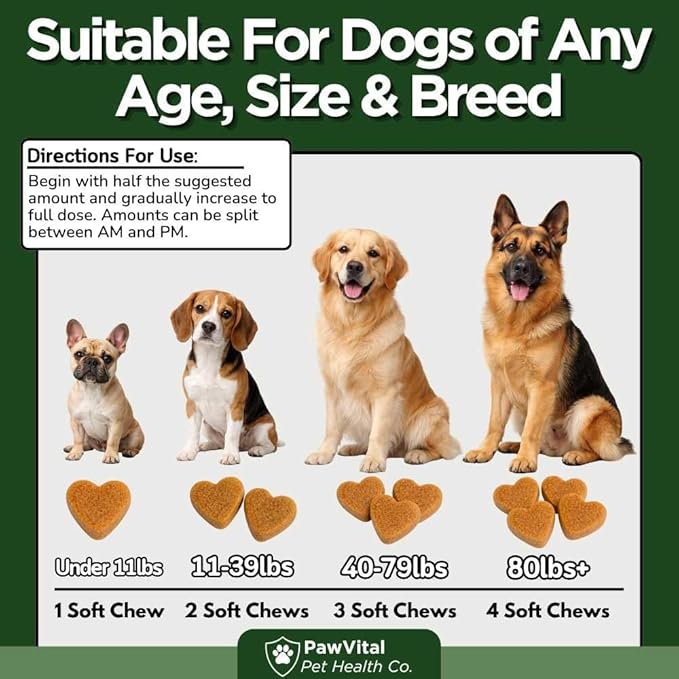 Super Greens Multivitamin Chews for Dogs – Dog Greens & Daily Dog Multivitamin with Spirulina, Chlorella, Probiotics & Enzymes for Immune, Gut, Skin & Energy Support – Beef Liver – 150 Chews