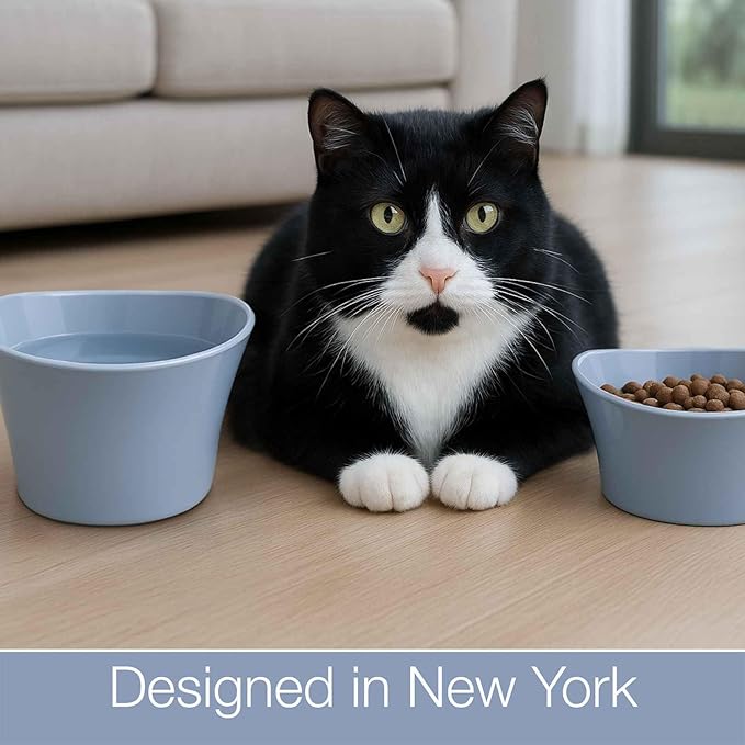 Elevated Cat Bowls for Water – Raised Bowl for Indoor Cats – Whisker Fatigue Shallow Cat Dishes – Vet-Recommended Height, Modern Pedestal Design – Non-Slip & Dishwasher-Safe – 8 oz, Powder Blue