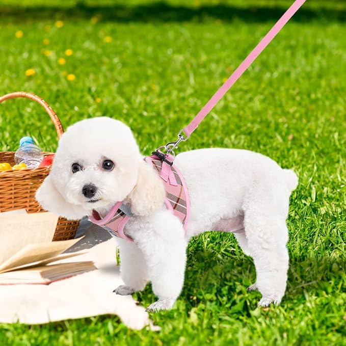 EXPAWLORER Classic Plaid Puppy Harness - Small Dog Harness and Leash Set - Dog Collar and Leash Set with AirTag Holder, Soft Padded Step in Dog Vest Harness No Pull Reflective for Outdoor, Pink XS