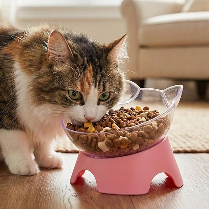 MILIFUN Raised Cat Food Bowls with Stand, Cat Dishes for Food or Water, Cats Tilted Bowl, Pet Dish with Stand (Pink Double Bowl)
