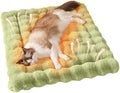 Self-Warming Cat Bed, Plush Faux Fur Pet Bed Mat with Anti-Slip Bottom, Ultra Soft Heated Pad for Cats & Kittens, Cozy Fluffy Bed for Window & Sills Couches, Machine Washable, 23x15 Inch Green