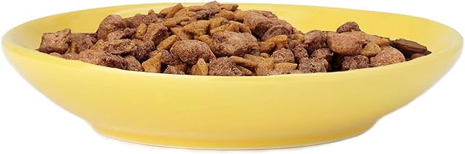 PetRageous 11019 Silly Kitty Dishwasher and Microwave Stoneware Cat Saucer 5-Inch Diameter 2.5-Ounce Capacity for Wet or Dry Cat Food Great For All Cats, Yellow