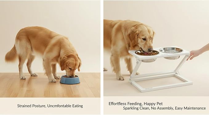 Elevated Dog Bowls, Adjustable Raised Dog Bowl Stand with 2 Stainless Steel Food Bowls 20°Tilted Water Bowls for Small Sized Dogs and Cats (White, Small)