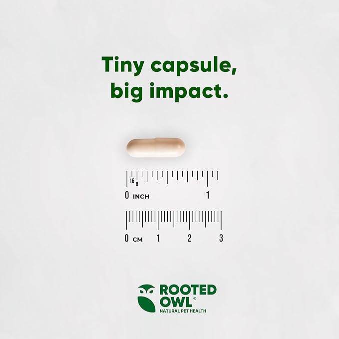 Rooted Owl Natural Immunity - Cat and Dog Immune Support - Triple Mushroom Supplement for Dogs & Cats with Reishi, Shiitake and Maitake Mushrooms - 60/ct Vegan Capsules