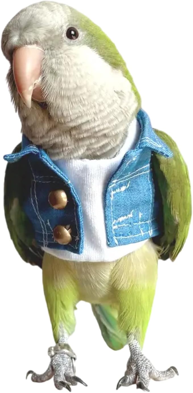 Bird Costume Bird Diaper Flight Suit Bird Jeans Fake Two Pieces Bird Clothes Cosplay Photo Prop for Parrots Lovebird Parakeet Cockatiel Small Animals Apparel (Without Diaper,Crested Myna)