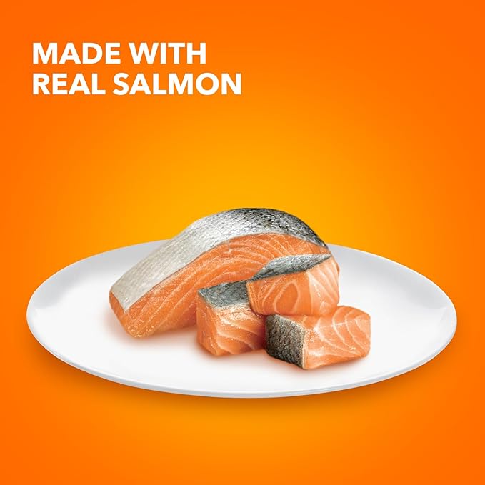 IAMS Perfect Portions Indoor Adult Grain Free Wet Cat Food Pate, Salmon Recipe, 2.6 oz. Easy Peel Twin-Pack Trays (24 Count, 48 Servings)