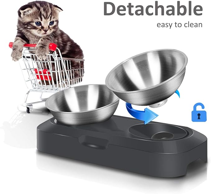 AYADA Raised Cat Food Bowl, Stainless Steel Cat Dish for Dry Wet Food Water, Anti Vomiting Elevated with Stand Ergonomic Lifted Slanted Tilted 15 Angle Metal Single Kitty Kitten Pet Bowl (Double)