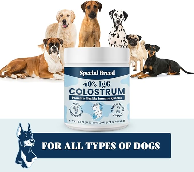 40% IgG Grass Fed Colostrum for Dogs, Third Party Tested High Potency Colostrum Powder, Immune Support, Prebiotic Gut Health, Seasonal Allergy and Itch Relief, Made in USA, 2.5 Oz
