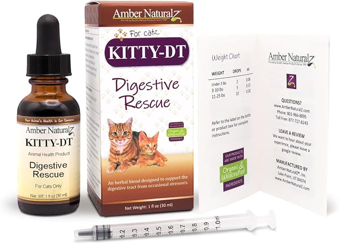 Amber NaturalZ Kitty-DT Digestive Rescue Herbal Supplement for Cats | Supports Normal Digestive Function and Occasional Gastric Upsets | Natural Aid for Gastrointestinal Health 1 Fluid Ounce