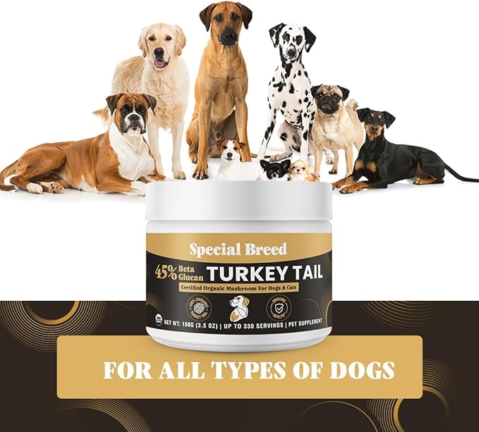 Organic Turkey Tail Mushroom for Dogs and Cats, 45% Beta Glucan Standardized, Hot Water Extracted Whole Fruiting Body, Third Party Tested, Immune and Gut Support, No Fillers, Made in USA, 330 ct