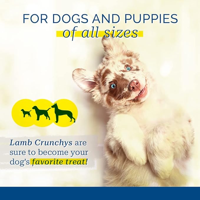PCI Pet Center Inc. Lamb Crunchys Raw Dehydrated Lamb Lungs Dog Treats, 3 Ounce Pack