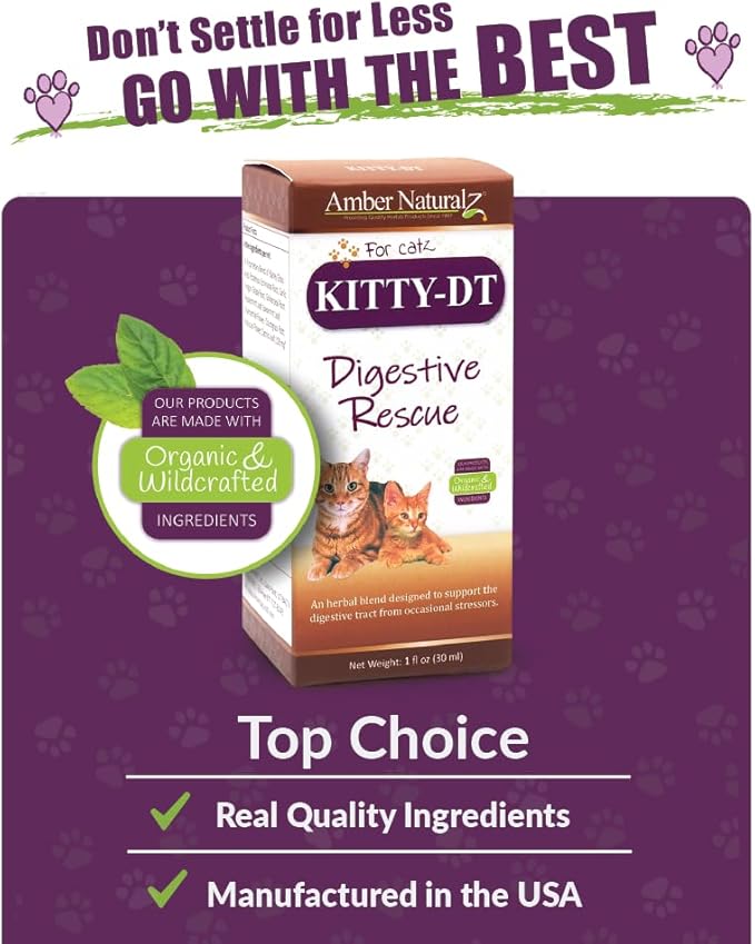 Amber NaturalZ Kitty-DT Digestive Rescue Herbal Supplement for Cats | Supports Normal Digestive Function and Occasional Gastric Upsets | Natural Aid for Gastrointestinal Health 1 Fluid Ounce