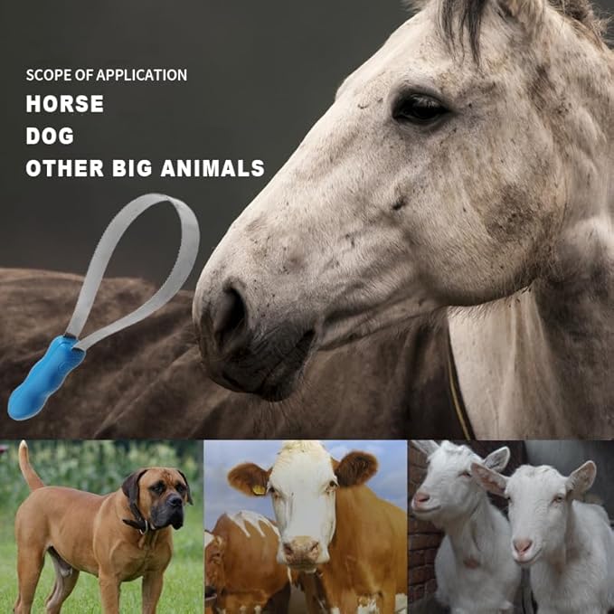 4pcs Hoof Pick Brushes&1pcs Dual-Sided Shedding Blade,horse shedding tool with Stainless Steel Blade,Shedding Tools for dogs,horses and other long hair animals