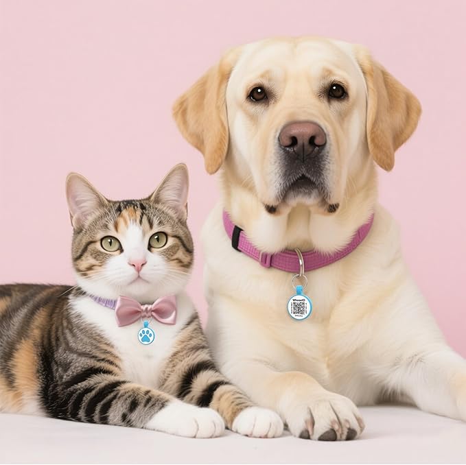 WhoseID Personalized Dog Tag, Laser Engraving QR Code, Silicone Dog ID Tag, Pet Online Profile, Scan QR Code Send Location, Collar Harness Accessories (Medium to Large Breeds - 1.25", Blue)