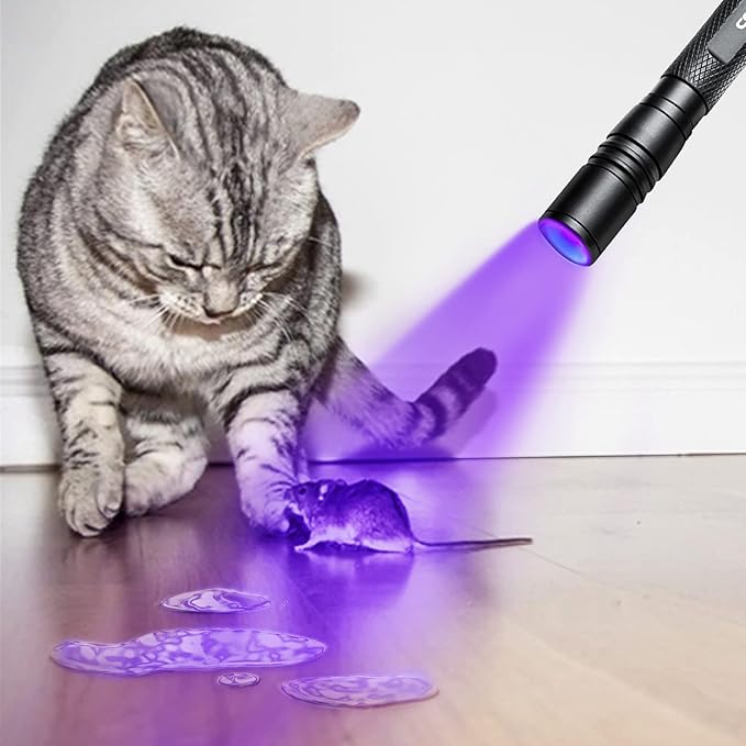UV Flashlight Rechargeable, 395nm Ultraviolet, Zoomable Blacklight Detector for Pet Urine, Cat Dog Stains, Scorpion, Bed Bug