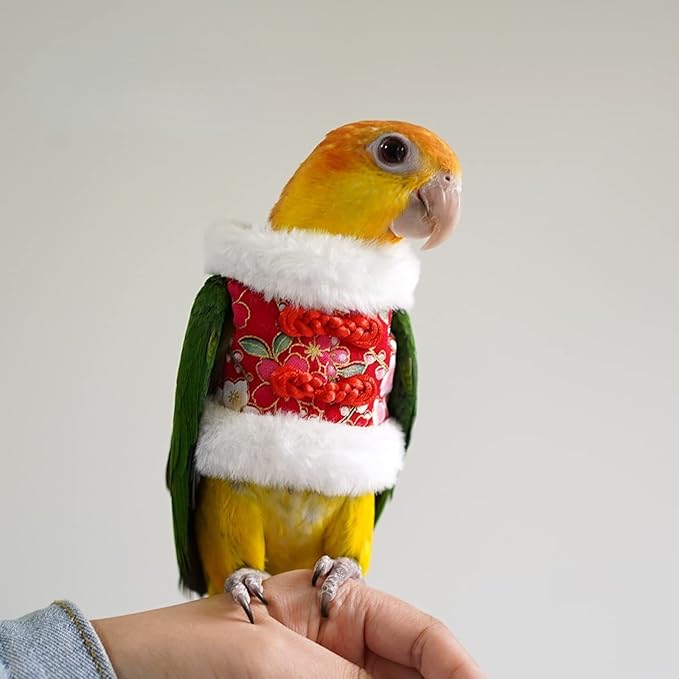 Bird Costume Flight Suit Clothes Cosplay Photo Prop for Parrots Parakeet Cockatiel Sun Conure, Hoodie Small Animals Apparel (Red, Small), Green