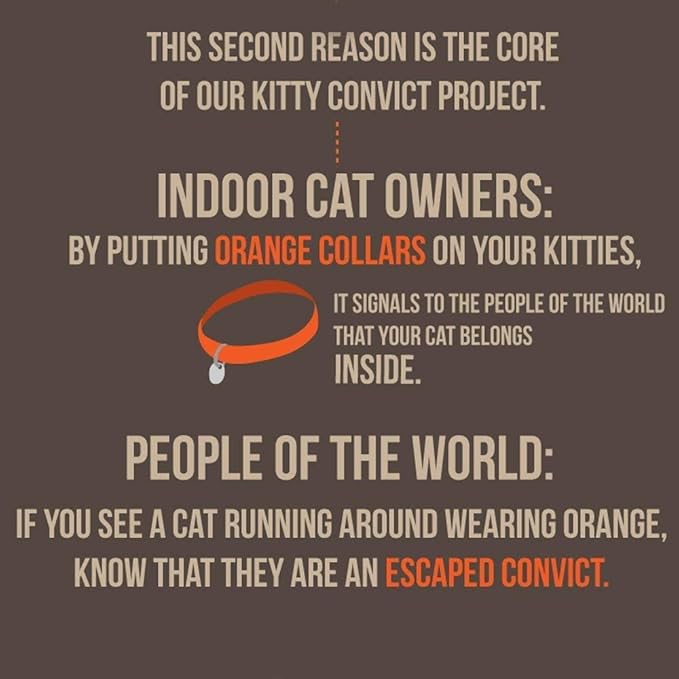 GoTags Kitty Convict Personalized Cat ID Collars (Orange Cat Collar w/Custom Pet ID Tag)