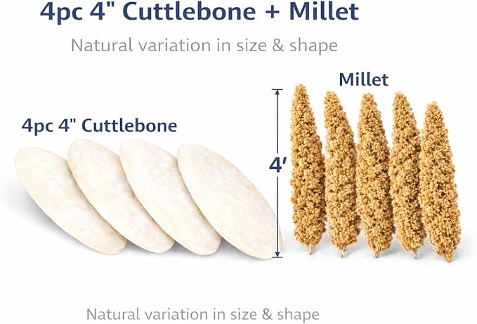 Farm to Feathers™ Wholesome Spray Bird Millet & Cuttlebone Bundle – USA Grown Millet Sprays for Parakeets, Budgies, Cockatiels, Finches & Canaries – 2 lb Wholesome Millet + 4” Cuttlebone (4 Pack)