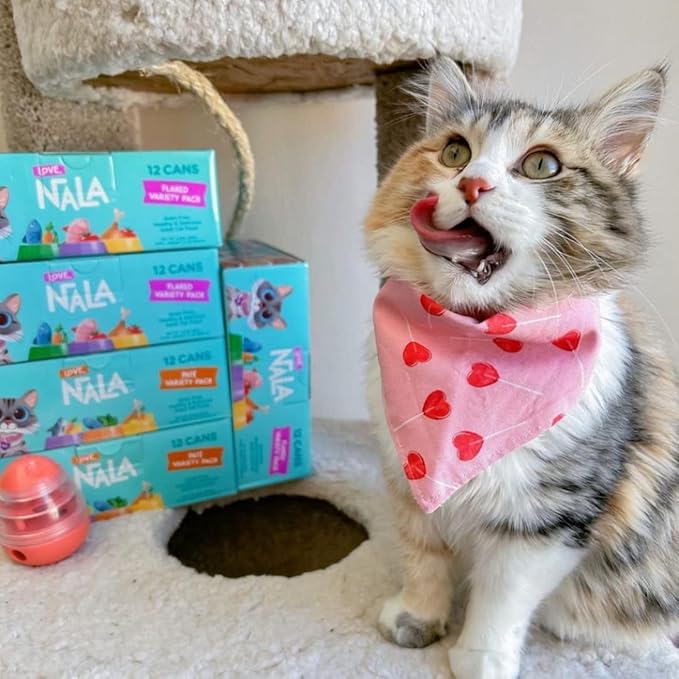 LOVE, NALA - Chicken Flaked with Sweet Potato & Tomato in Broth - 24 Pack, 4.8 lbs - Natural Adult Cat Wet Food Flaked -Grain Free, Non-GMO, Lean Protein, Added Minerals & Vitamins