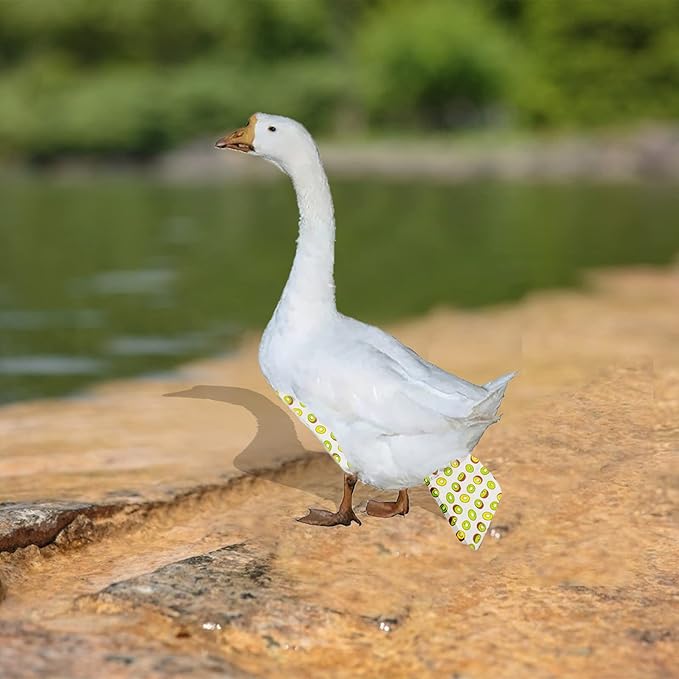 Chicken Duck Goose Diaper Washable Pet Fruit Print Diapers for Hens Roosters Poultry (Kiwi, Medium)