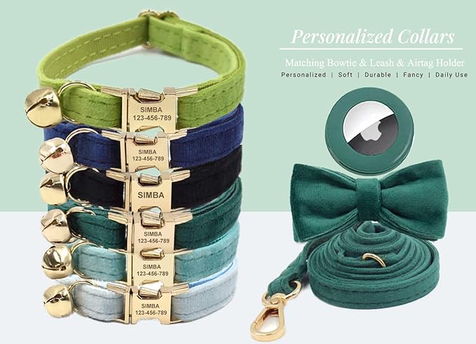 Personalized Cat Collar with Gold Buckle and Engraved Name Tag