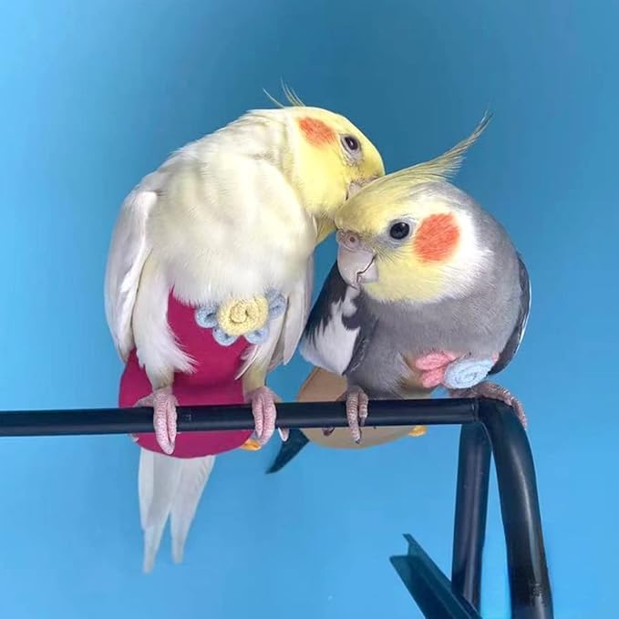 Bird Diaper Harness Flight Suit Clothes with Flying Leash for Parrots Cockatiel Pet Birds, Parrot Clothes, Bird Training Nappy Suit Liners Clothes (Small,Rose Red)