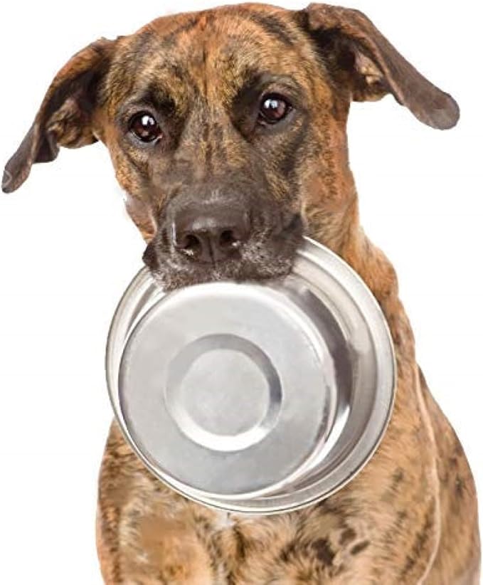 4 Pack Stainless Steel Dog Bowls 10 Cup (2.4 L) – Metal Pet Bowls for Food & Water, Durable Rust Resistant Feeding Dishes for Small Medium Large Dogs, Easy Clean Heavy Duty Puppy & Cat Bowls