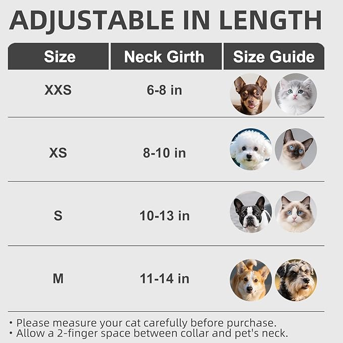 PUPTECK Basic Adjustable Cat Collar with Bling Diamond and Double Bells, for Kitten and Small Puppy, Fashion and Shining Dog Rhinestone Collars, 8-10in, Black
